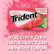 Блок Trident Island Berry Lime (12 шт) 1088 фото 3