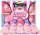 Птички с маршмеллоу Peeps Cotton Candy 10 chicks 85g 1788 фото 2