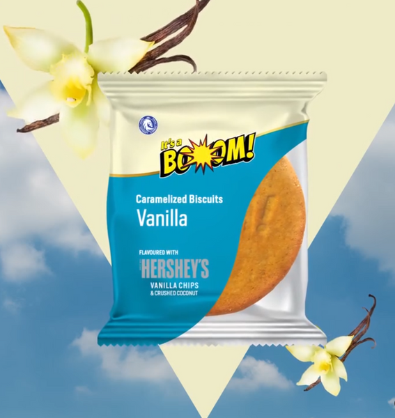 Печенье It's A Boom Hershey&rsquo;s Vanilla Coconut с шоколадом и кокосом 20г 8499 фото