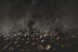 Мелена кава Brickhouse Coffee Midnight Ember Dark Roast 340г 8356 фото 6