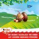 Шоколадні яйця Kinder Mini Eggs Haselnuss Easter 85г 10749 фото 5