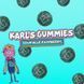 Желейные конфеты Feastables Karl Gummy Candy Sour Blue Raspberry 100г 7486 фото 3