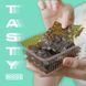 Чіпси з морських водоростей Nicos Seaweed Snack Traditional Flavor 4г 9019 фото 7
