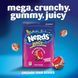 Цукерки Nerds Juicy Gummy Clusters Strawberry Punch Candy 202г 10955 фото 3