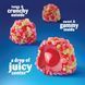 Цукерки Nerds Juicy Gummy Clusters Strawberry Punch Candy 202г 10955 фото 4