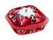 Рождественский кекс Панеттоне VECCHIO FORNO Panettone čoko d&oacute;za Gran&aacute;t jablko 600g 6104 фото 2