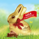Шоколадний кролик&nbsp;Lindt Goldhase Gold Rabbit 500г 10536 фото 2