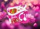 Драже Jelly Belly Barbie Jelly Beans 60 г 7937 фото 2