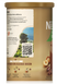 Растворимый кофе Nescafe Cappuccino Hazelnut Soluble Coffee с лесным орехом 270г 8708 фото 3