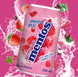 Негазований напій Mentos Drink Berry Mix зі шматочками желе 340мл 8827 фото 2
