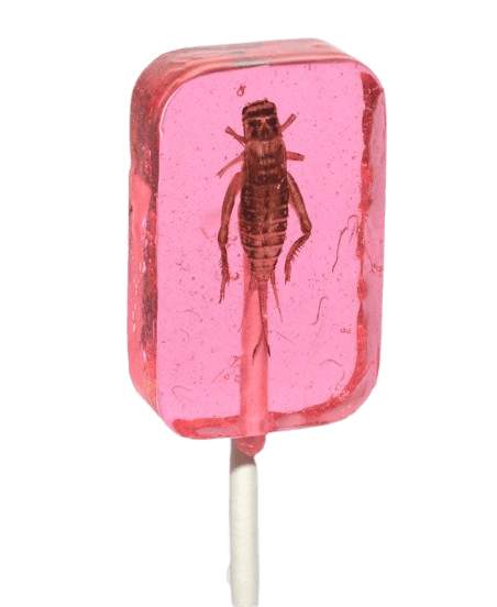 Леденец с насекомым Hotlix Assorted Cricket Sucker 1шт, 28г 9429 фото