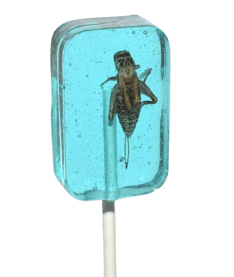 Леденец с насекомым Hotlix Assorted Cricket Sucker 1шт, 28г 9429 фото