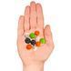 Цукерки на Геловін Halloween Dubble Bubble Ghoulish Gum Balls&nbsp;61g 5626 фото 2