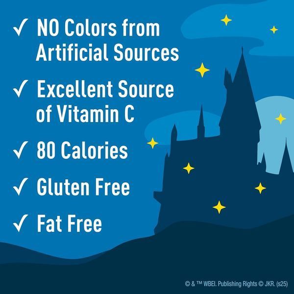 Жувальні цукерки Harry Potter Fruit Snacks 1шт, 22.7г 11011 фото