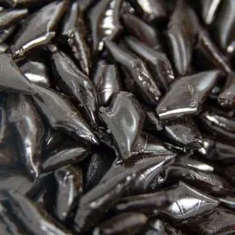 Лакричная Пастила Amarelli Rombetti Box with anise 100g 4122 фото
