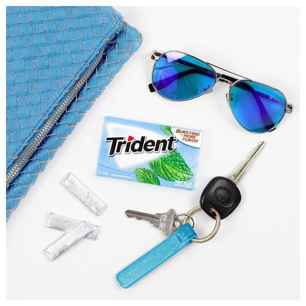 Жвачки Trident Mint Bliss Sugar Free 14 sticks 2519 фото