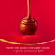 Подарочный набор шоколадных конфет Lindt Lindor Maxi Boule Praline di Cioccolato al Latte 44шт 550 г 7698 фото 9