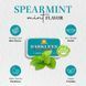 Драже Barkleys Classic Mints Spearmint 50г 8177 фото 4