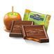 Шоколадные конфеты Ghirardelli Milk Chocolate Caramel Apple 150 г 7373 фото 4