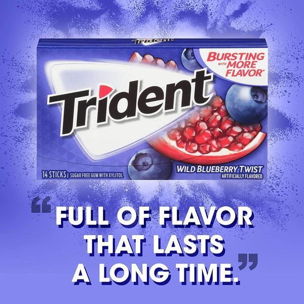 Блок Trident Wild Blueberry Twist (12 шт) 1074 фото