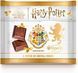Шоколад Witor's Harry Potter Tavoletta Latte Cristalli Dorati 50г 7951 фото 1