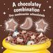 Сухий сніданок Lucky Charms Chocolatey Chocolate Cereal with Marshmallows 300г 10376 фото 4