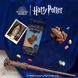 Шоколадная лягушка Harry Potter Milk Chocolate Frog with Trading Card 15г 0586 фото 4