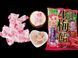 Японські цукерки Ribon Nama Ume Wafu Sweets з начинкою зі сливи Кішуу 110г 7283 фото 4