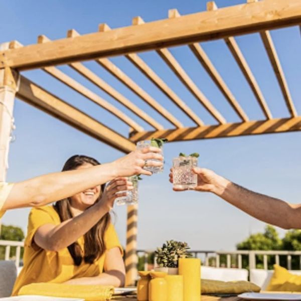 Напій Schweppes Lemon Zero 330 мл 9559 фото