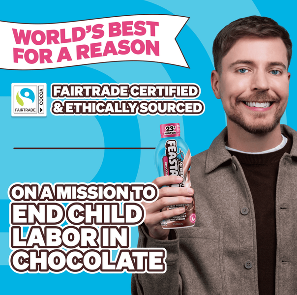 Шоколадне молоко Feastables MrBeast Protein Fortified Chocolate Milk 414мл 9658 фото