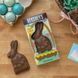 Великодній заєць HERSHEY'S Solid Milk Chocolate, 141 г 6553 фото 4