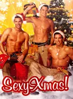 Сексуальний різдвяний адвент-календар Sexy Xmas lade Sexy Men Craftsmen 75г
