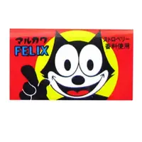 Жуйка Lotte Bubble Fruit Gum Blueberry Taste 35g