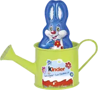 Набор Kinder Lustiger Gartenhase 55g