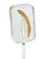 Леденец с насекомым Hotlix Tequila Flavored Lollipop with Real Worm Sugar-Free 28г