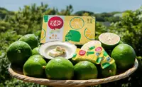 Упаковка шоколадних міні-батончиків Nestle KitKat Tokyo Bonin Island Lemon Flavor Wafer лимонні 10 шт.