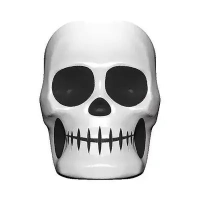 Металический череп с конфетами Halloween Skull Tin with Smarties 17g (черно-белый) (4031) фото 1