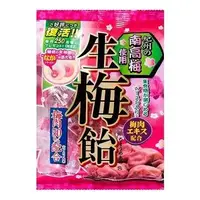 Японские конфеты Ribon Nama Ume Wafu Sweets с начинкой из сливы Кишуу 110г