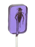 Льодяник із комахою Hotlix Assorted Cricket Sucker 1шт, 28г