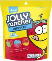 Жевательные конфеты Jolly Rancher Misfits 2 in 1 Gummies 226g