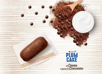 Кекс Kinder Plum Cake Al Cacao E Gocce di Cioccolato 192g